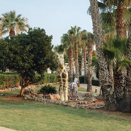 Bluesea Marina Parc 4* Na Macaret